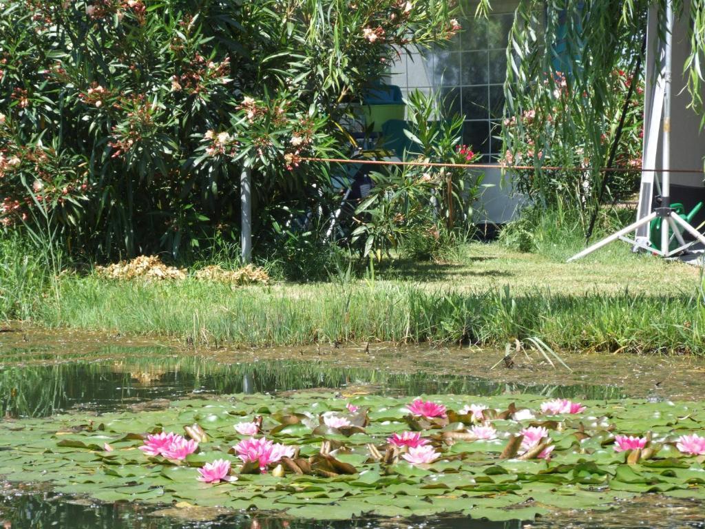 Camping Villaggio Italgest SantʼArcangelo Exterior foto